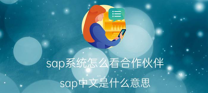 sap系统怎么看合作伙伴 sap中文是什么意思？